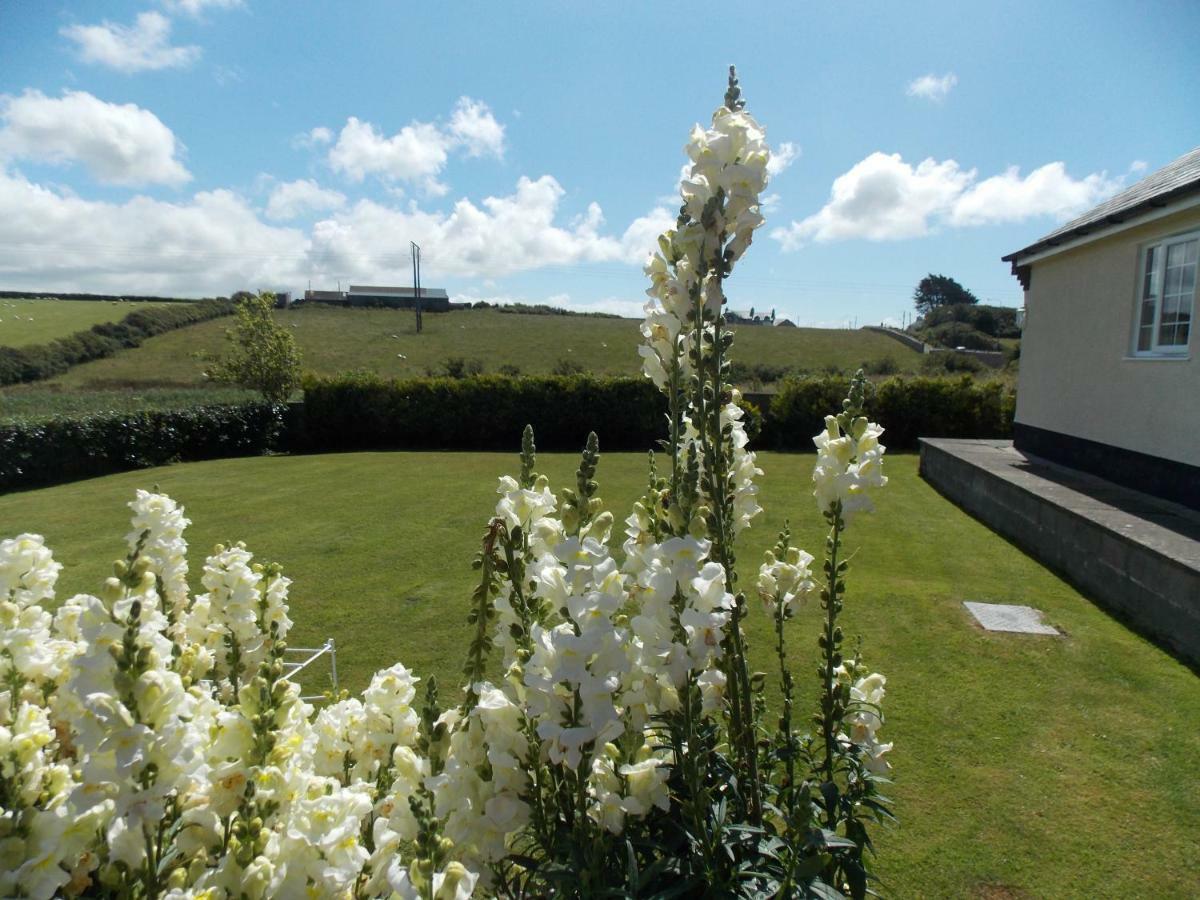Craig Eithin B & B Caergeiliog ภายนอก รูปภาพ
